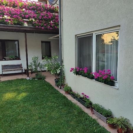 Apartman Mitic Požarevac Extérieur photo