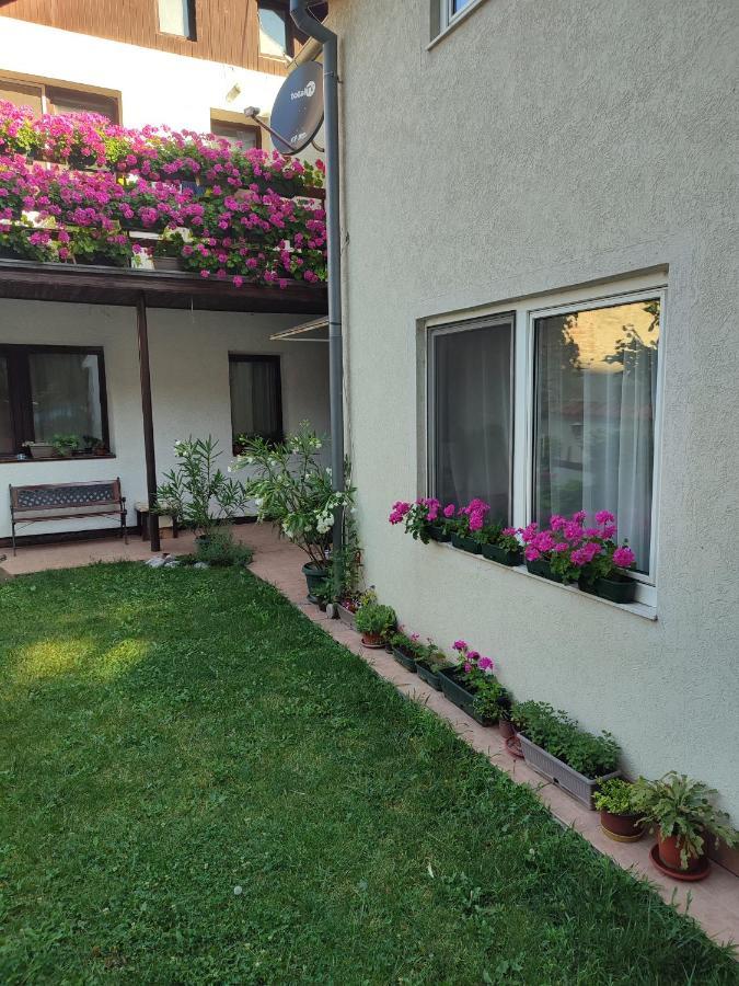 Apartman Mitic Požarevac Extérieur photo